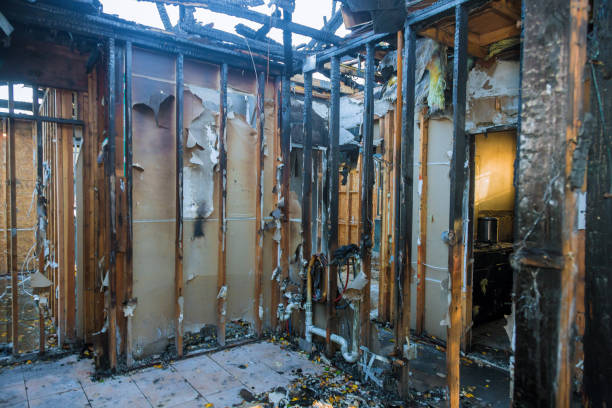 Professional Fire Damage Assessment technician working in Hanceville, AL